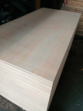 Sell_ LVL plywood grade BC glue MR